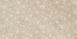 Emerald Decor 30x60 Dark Beige 1