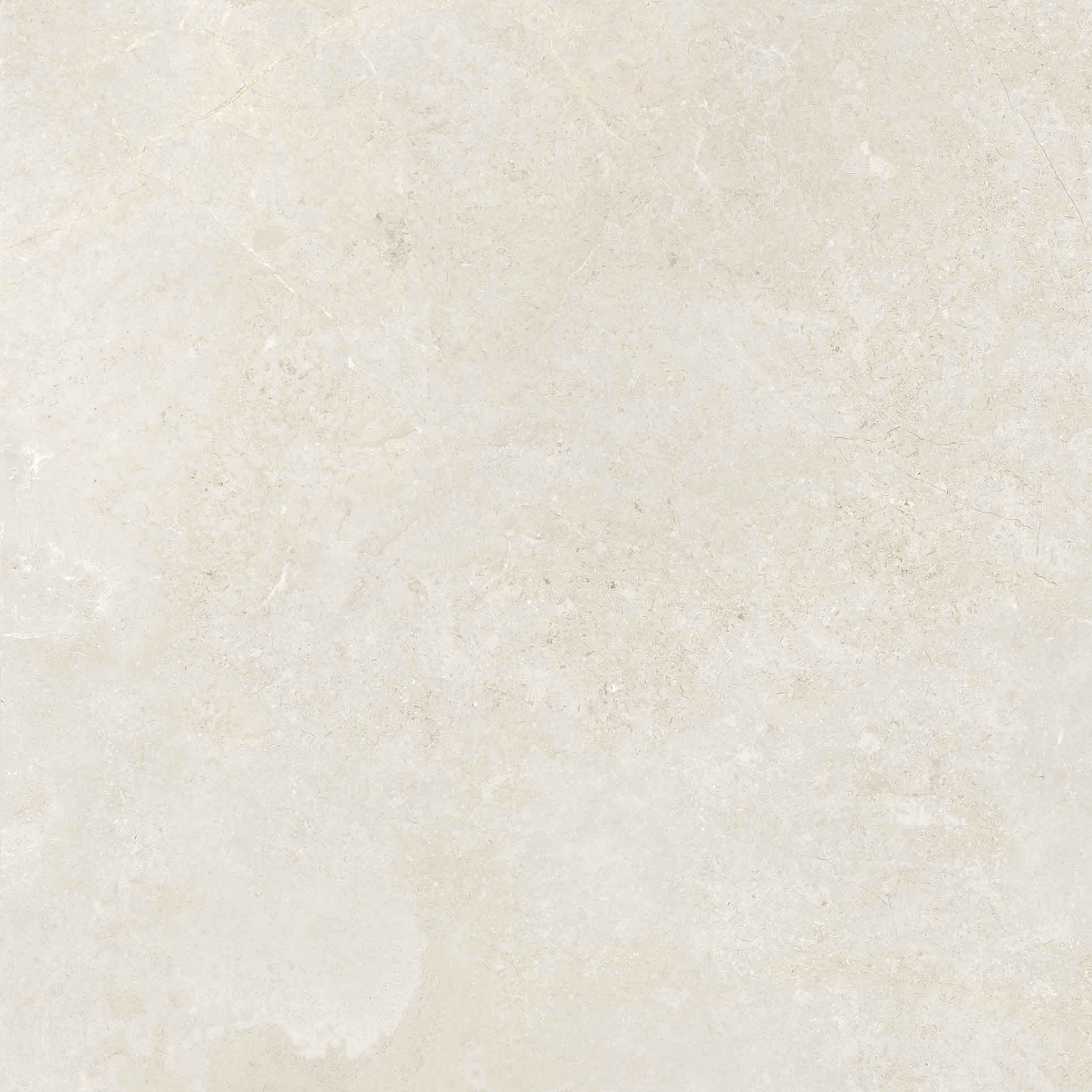 Porcelain Collection